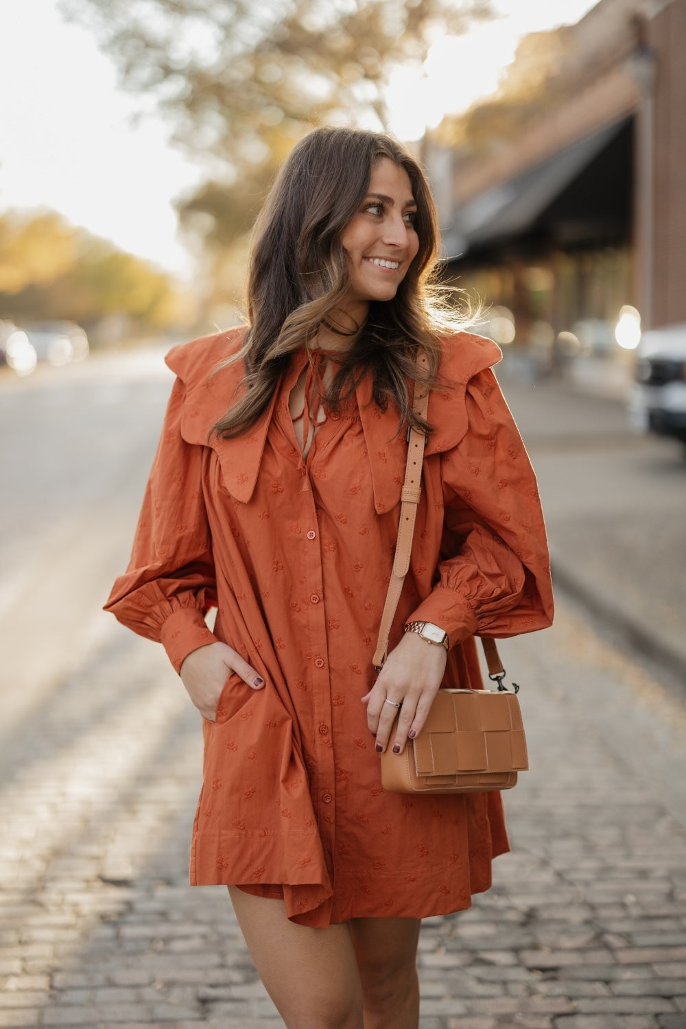 Wendy Terracotta Wide Collar Dress