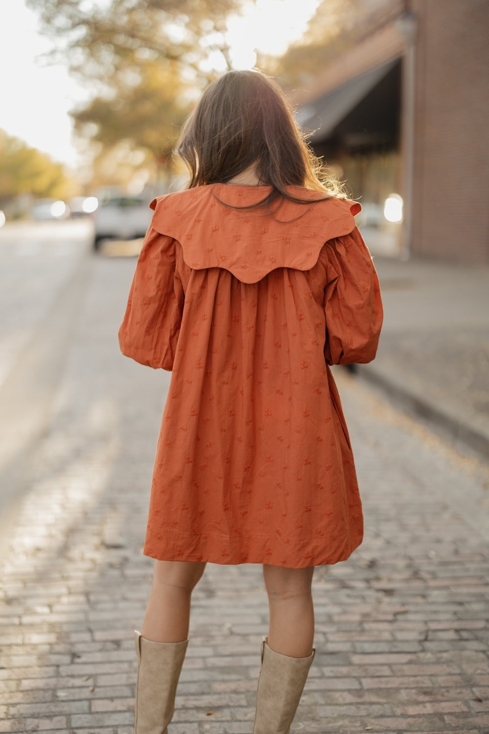 Wendy Terracotta Wide Collar Dress