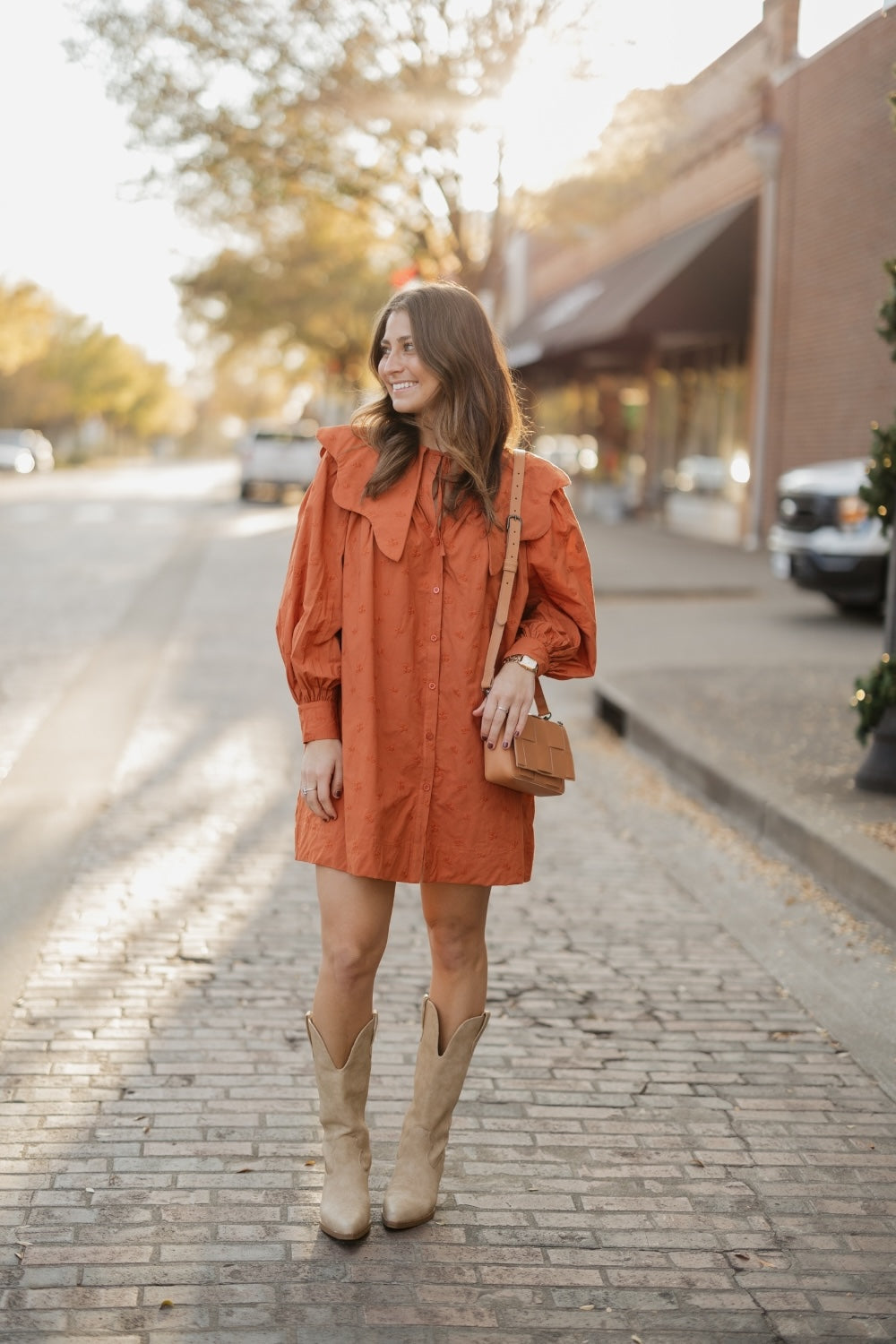 Wendy Terracotta Wide Collar Dress