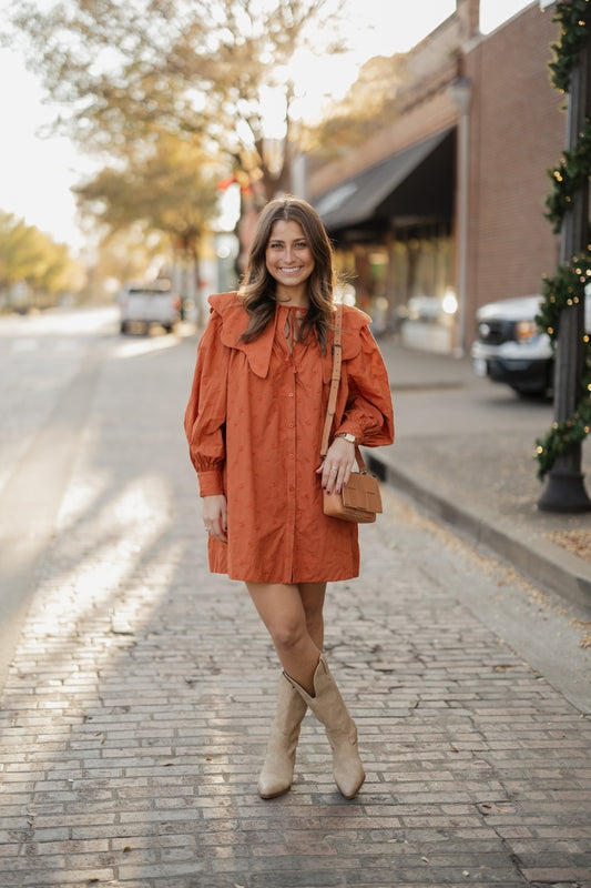 Wendy Terracotta Wide Collar Dress