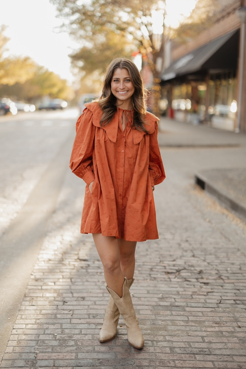 Wendy Terracotta Wide Collar Dress